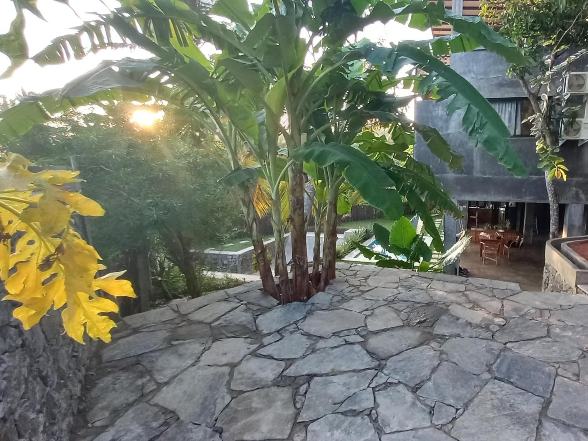 Gaia Soul Otel Godauda Dış mekan fotoğraf